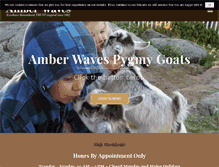 Tablet Screenshot of amberwaves.info